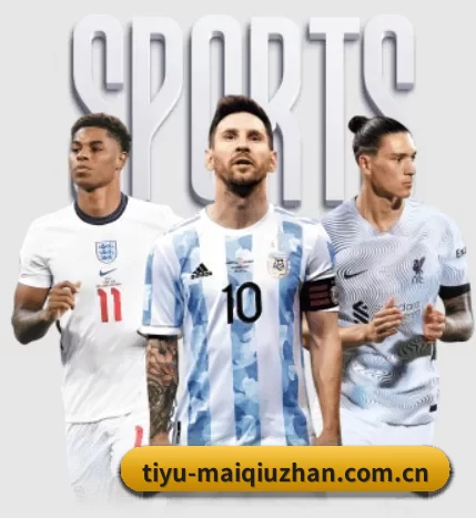 tiyu-maiqiuzhan.com.cn的方向（worldcup）